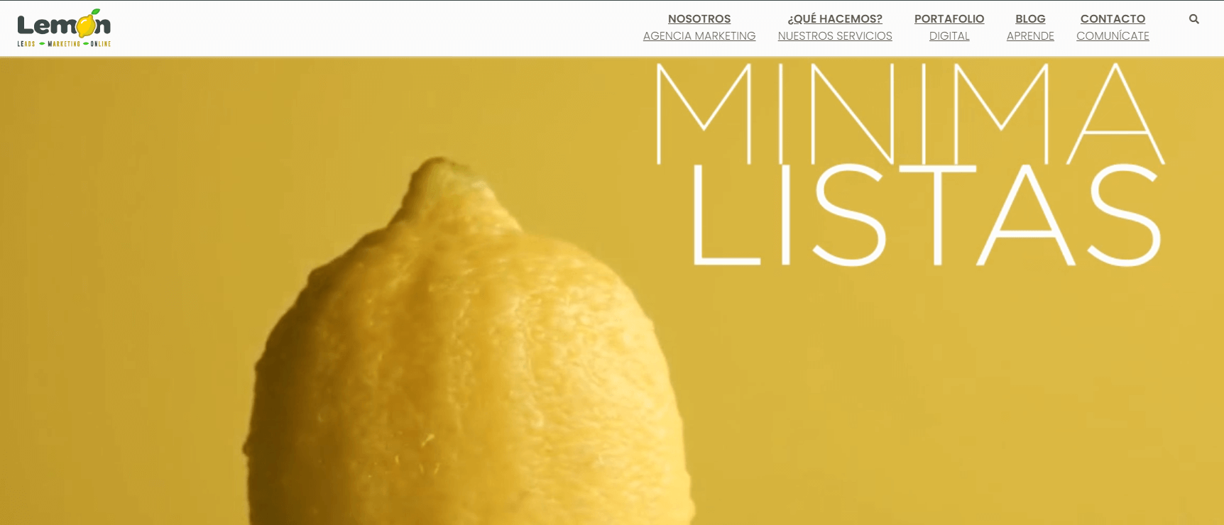 Lemon Digital Marketing